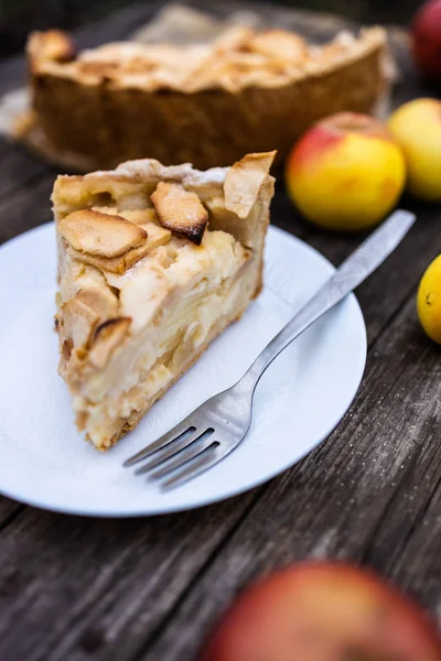 Manzana americana Tsvetaevsky jellied pedazo de pastel abierto en un plato, primer plano, sobre un fondo de madera oscura. Puesta plana — Foto de Stock