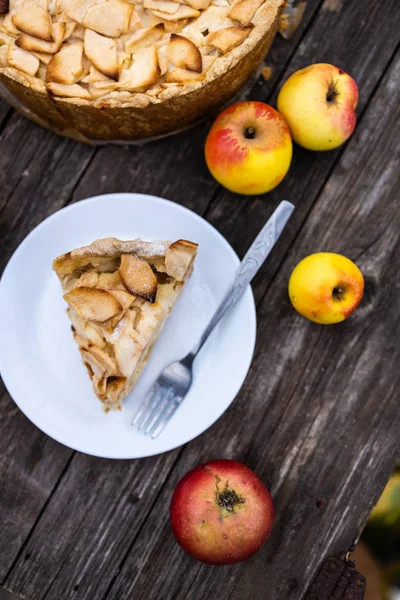 Manzana americana Tsvetaevsky jellied pedazo de pastel abierto en un plato, primer plano, sobre un fondo de madera oscura. Puesta plana — Foto de Stock