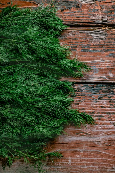 O grămadă de mărar verde proaspăt suculent pe un fundal roșu rustic din lemn vechi. Plat lay. Copiați spațiul — Fotografie, imagine de stoc