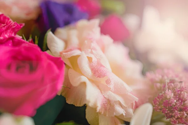 Buquê de fundo de diversas flores vibrantes de primavera em bela luz solar. Close-up. Espaço para cópia. Borrão, foco seletivo . — Fotografia de Stock