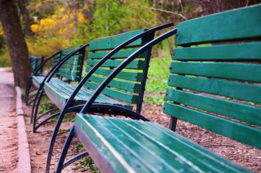 Sonbahar sarı şehir parkında eski yeşil ahşap banklar. Kiev, Ukrayna. Yakın çekim, perspektif
