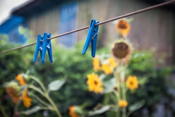 Pinzas de plástico azul en una cuerda contra el fondo de una casa vieja y flores de girasol. Enfoque selectivo . —  Fotos de Stock