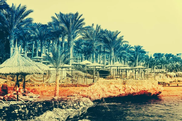 Paisaje playa, palmeras, mar con un efecto de fallo de la vieja televisión . — Foto de Stock