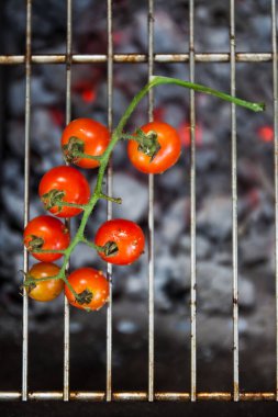 Kiraz domatesli şube açık ateşte ızgarada pişiyor.
