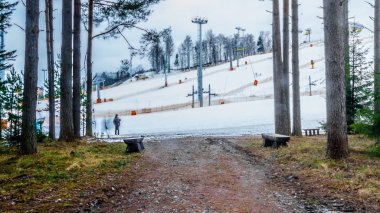 Ormanda kış manzarası