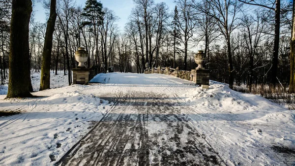 Peterhof kış manzarası