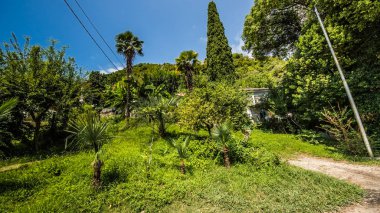 Gagra şehirde manzara