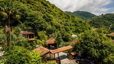 Gagra şehirde manzara