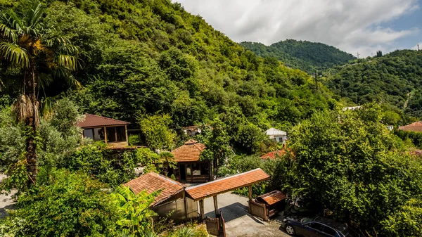 Gagra şehirde manzara
