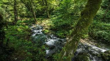 Yeni Athos şehirde manzara