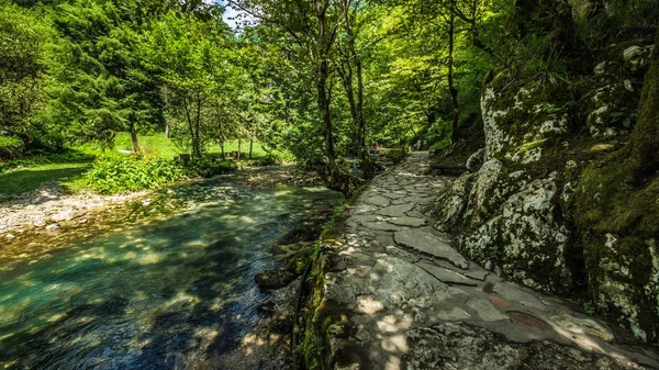 Landscape in the New Athos city