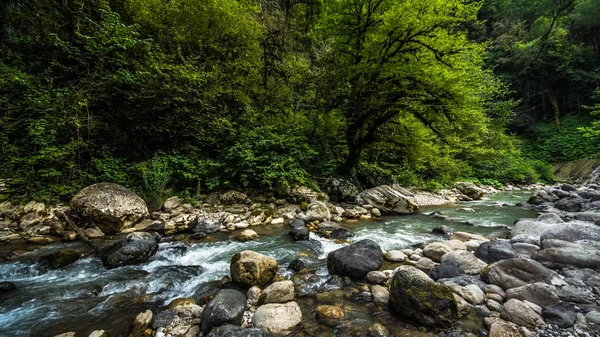 Canyon in Abhazia — Foto Stock