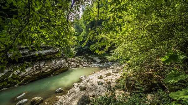 Schlucht in der Abhazia — Stockfoto