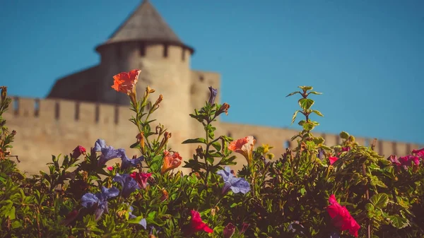 Ivangorod castle Narva