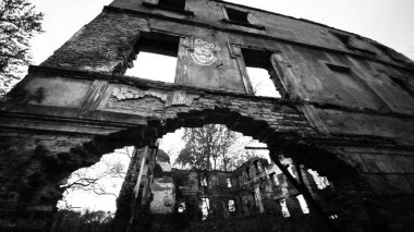 bahar ağaçları ve eski bina