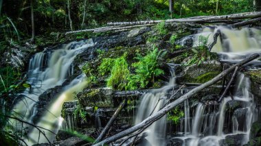 Karelya ve düşmüş ağaç, Karelya, 13.05.2015 küçük şelale