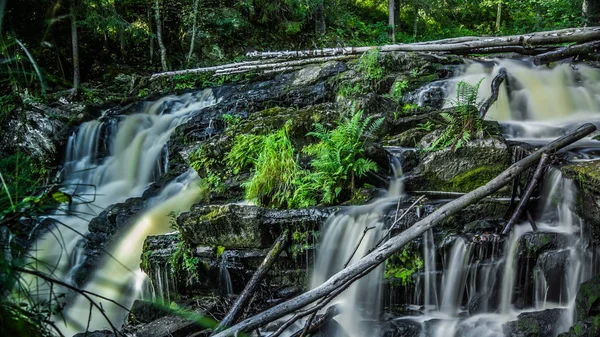 Karelya ve düşmüş ağaç, Karelya, 13.05.2015 küçük şelale