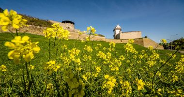 Narva Castle, Narva, Estonya, Eylül 2017 görünümünü