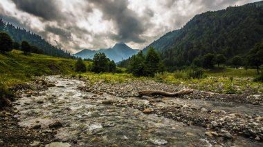 Rocky Kanyon akışında