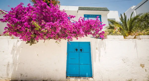 Geleneksel eski boyanmış kapı tarihi bir bölgede ya da Medine, Tunus 'ta. Müslüman mimarisinin renkli desenli görüntüsü, Hammamet Tunus, 22.06.2019