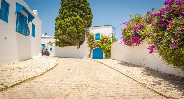 Традиционная Старая Расписная Дверь Историческом Районе Медине Тунис Цветной Текстурированный Лицензионные Стоковые Фото