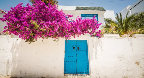 Традиционная Старая Расписная Дверь Историческом Районе Медине Тунис Цветной Текстурированный Лицензионные Стоковые Фото