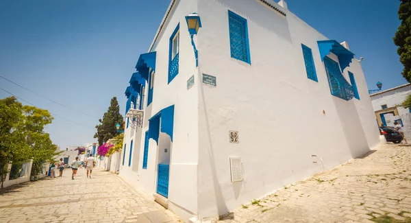 Традиционная Старая Расписная Дверь Историческом Районе Медине Тунис Цветной Текстурированный Лицензионные Стоковые Изображения