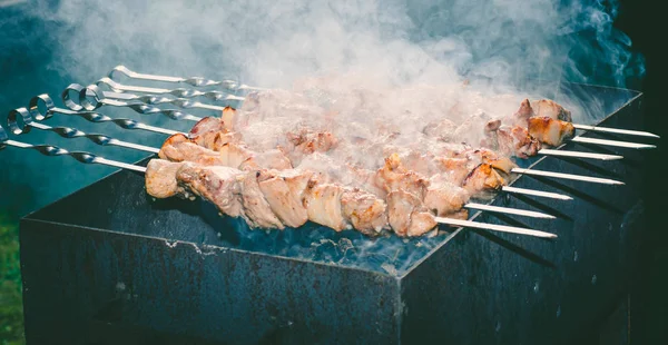 Espetos Carne Com Cebola Nos Espetos Grelha Fogueira — Fotografia de Stock