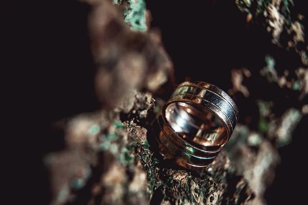 Anillos de boda de dos tonos anchos en corteza de madera — Foto de Stock