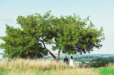 Fotoğraf çekim düğün. Damat ve gelin gelecekte arıyorum bir şehrin kenarındaki basit ağaç altında duran
