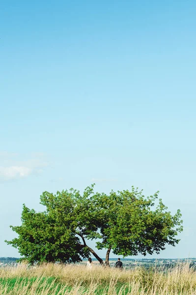 Весільна фотозйомка. Наречений і наречена стоять під простим деревом на краю міста, дивлячись в майбутнє — стокове фото