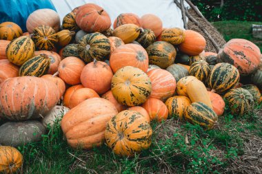 Düğün söylememle arka planını çiçekler ve sabun köpüğü ile kadın el