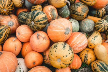 Düğün söylememle arka planını çiçekler ve sabun köpüğü ile kadın el