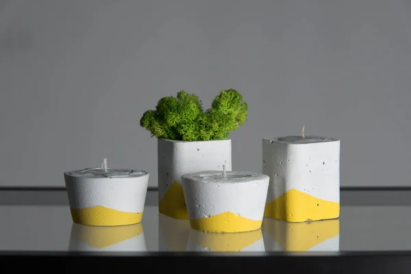 Candles Moss White Yellow Concrete Candle Holders — Stock Photo, Image