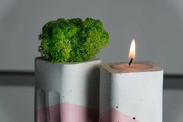 Candle Moss White Pink Concrete Candle Holders — Stock Photo, Image
