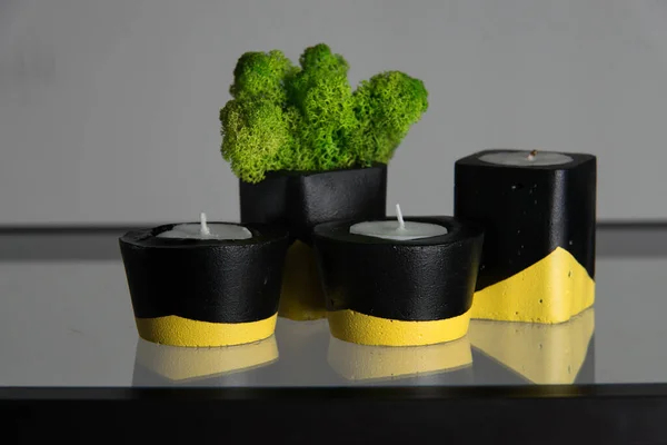 Candles Moss Black Yellow Concrete Candle Holders — Stock Photo, Image