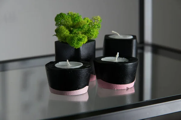 Velas Musgo Castiçais Concreto Preto Rosa — Fotografia de Stock