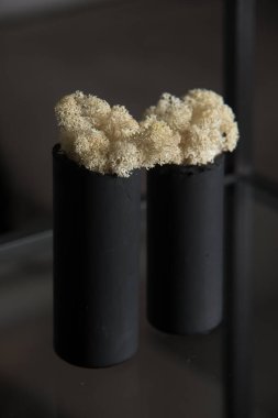 white moss in a black concrete pot on a shelf clipart