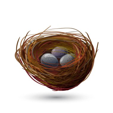 Bird Nest With Eggs clipart