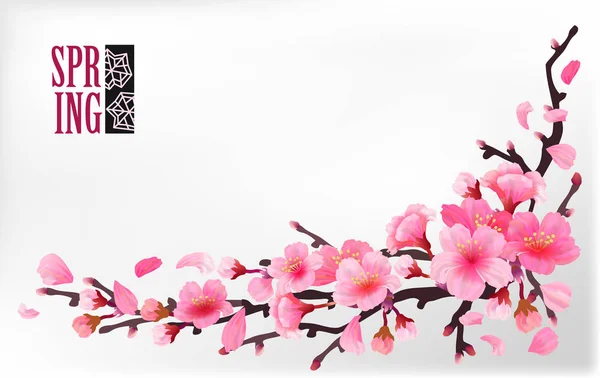 Гілка сакури або вишневого цвіту — стоковий вектор
