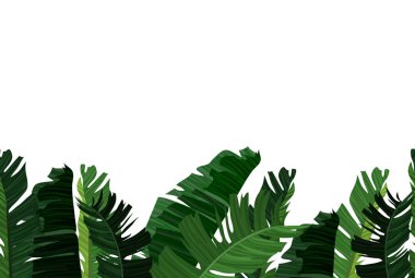 Tropikal tasarımı ile egzotik palmiye yaprakları.