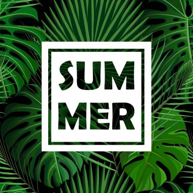 Egzotik palmiye yaprakları ile tropik, pürüzsüz desen.