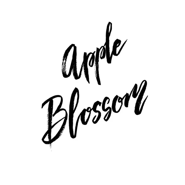 Letras concepto de primavera flor de manzana — Vector de stock