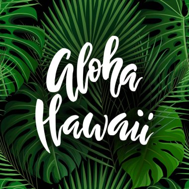 Aloha Hawaii fırça yazı.