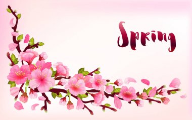 Gerçekçi Sakura Japonya kiraz Şubesi