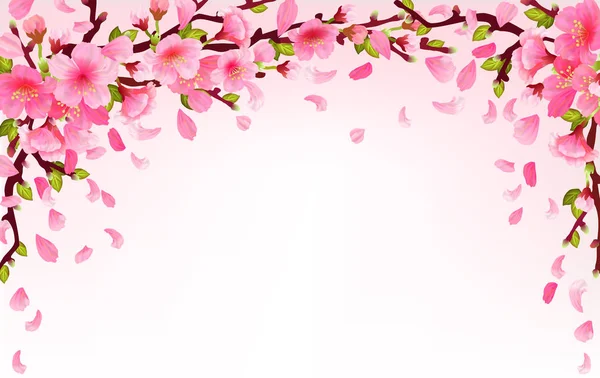 현실적인 사쿠라 일본 벚꽃 지점 — 스톡 벡터