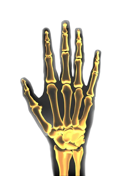 Realistic black and yellow transparente human hand skeleton — Stock Vector