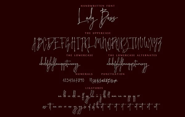 Texto manuscrito fuente vector alfabeto Lady Boss conjunto — Vector de stock