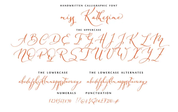 Handgezeichnetes callygraphisches Schriftvektoralphabet Stockillustration