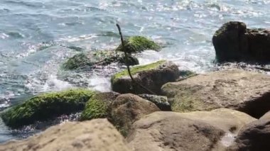 Okyanus dalgaları üzerinde kayalık sahil gürültüyle çarpmak..